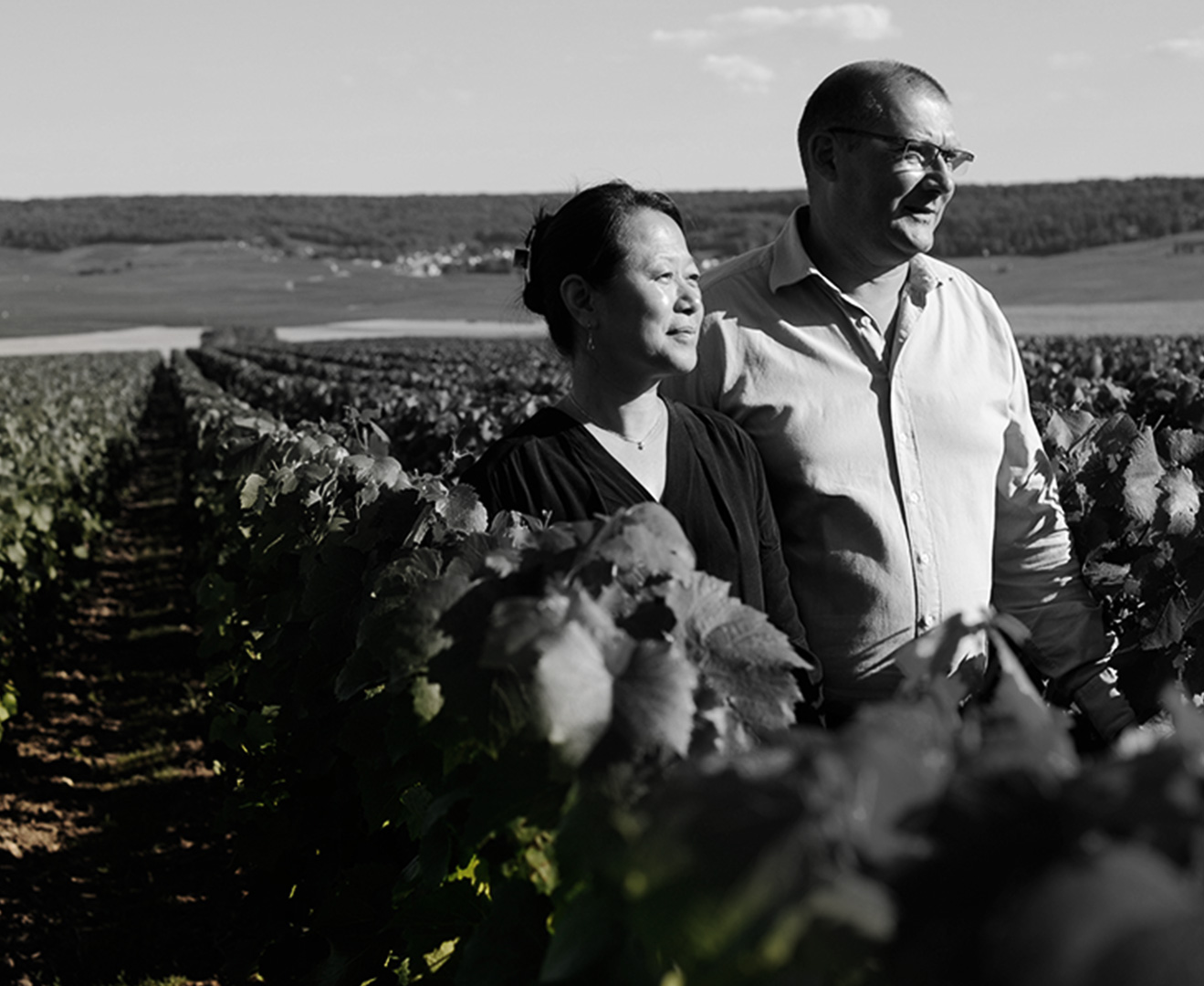 visuel-domaine-et-vignoble
